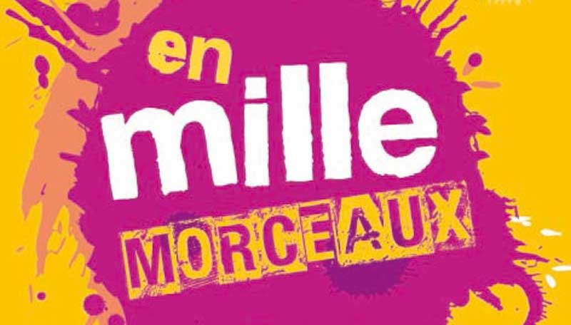 vignette mille morceaux