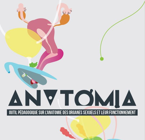 Anatomia