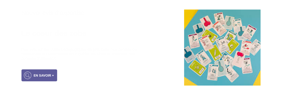 Expertise Coeur des Zobs